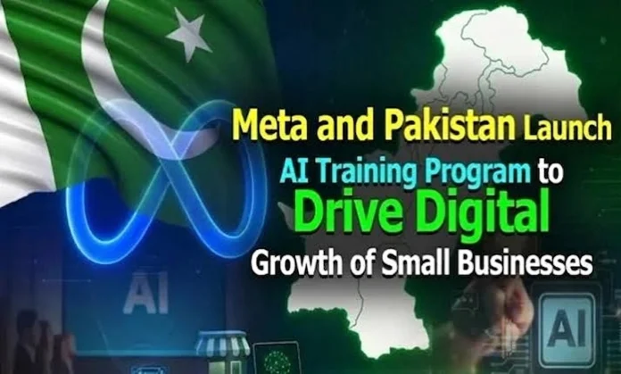 میٹا اور پاکستان کا چھوٹے